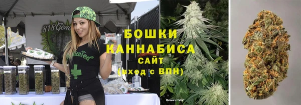 сатива Алзамай